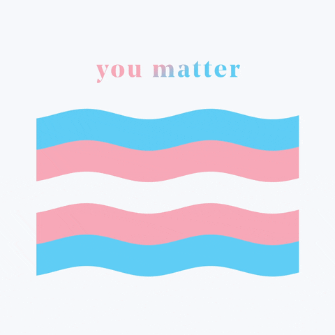 trans pride flag with text "you matter"